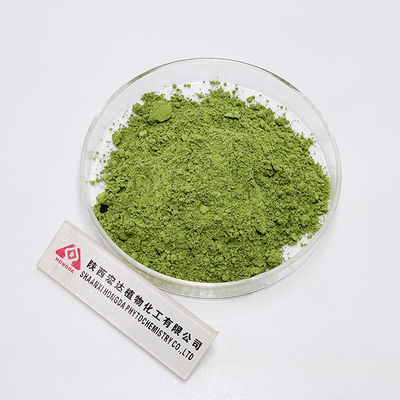 Organic Green Tea Matcha Powder Private Label Ceremonial Grade