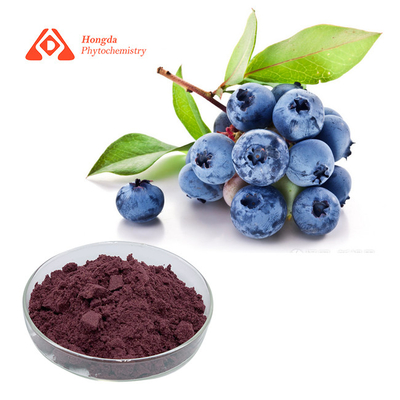 Chất chiết xuất quả việt quất thực vật tinh khiết 25% bột anthocyanin cho chất lượng thực phẩm