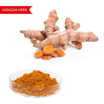 Chất chiết xuất thực vật tinh khiết Curcuma Longa bột 95% HPLC Chất chống oxy hóa và chống viêm