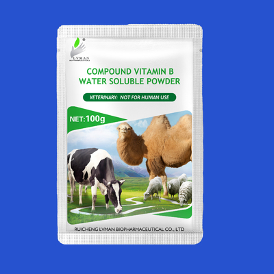 Hợp chất vitamin B BÁO THÀNH BÁO