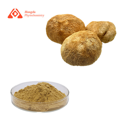 30% Thông số kỹ thuật Natural Hericium Erinaceus Capsules For Health Care